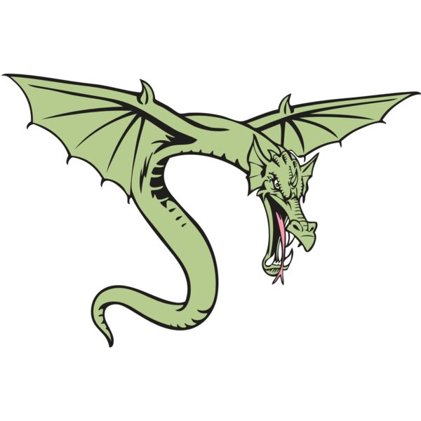 BAW DRAGON 08 RC Thumbnail